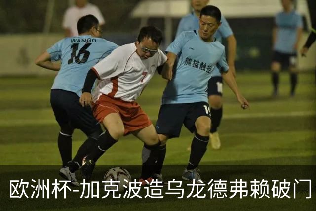 欧洲杯-加克波造乌龙德弗赖破门 荷兰2-1土耳其